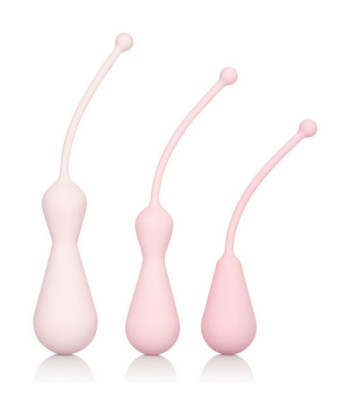 INSPIRE WEIGHTED KEGEL...