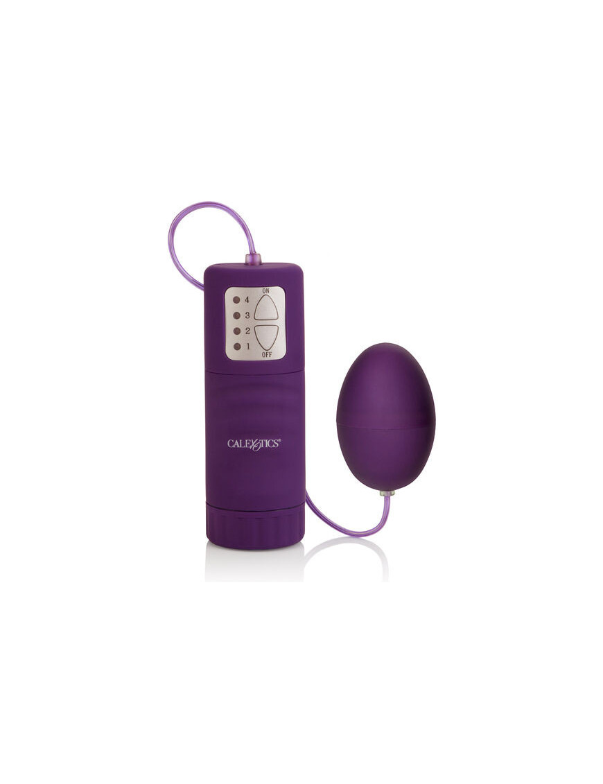 CALEX POCKET HUEVO VIBRADOR MORADO 4V