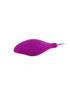 PLEASURE SHELL12 PURPLE SAVE NEW