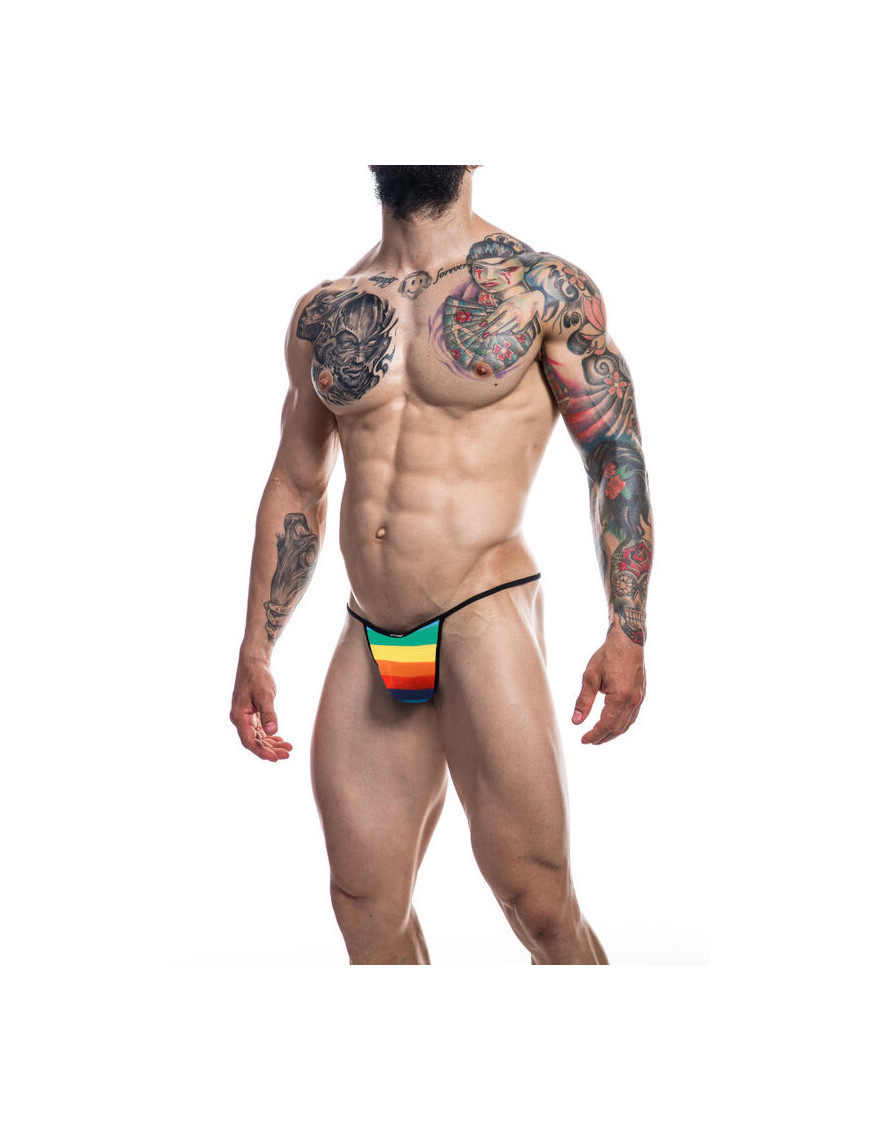 CUT4MEN - BRIEFKINI RAINBOW L